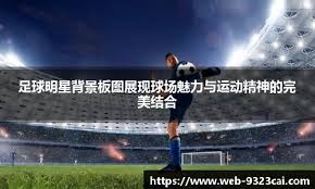 萨里：淘汰AC米兰意义重大，我们将带着斗志继续前行