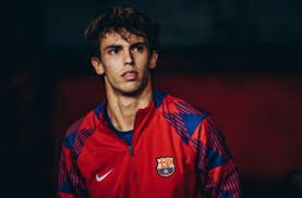 游族网络与曦望Sunrise达成战略合作，共建AI算力底座赋能游戏研运